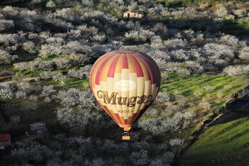 vuelo-en-globo-jerte-2