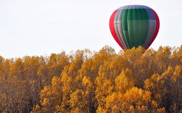 vendimia en globo portada